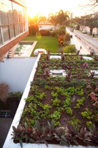 Los techos cubiertos de vegetación aumentan la eficiencia energética de los edificios al proporcionar aislamiento térmico y reducir la temperatura en entornos urbanos.