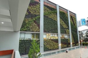 El muro verde de la Universidad del Pacífico de 154 m2 ofrece un paisaje natural que apoya los entretiempos de los alumnos en la plaza Geis. Además, genera un colchón acústico y térmico para las oficinas administrativas que se encuentran en la parte interior del edificio.