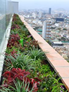 Una cubierta vegetal proporciona una capa de aislamiento térmico natural, lo que reduce la demanda de energía y mejora el confort en edificios y áreas urbanas.