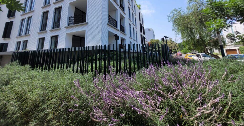 Iniciando la revolución verde desde nuestros hogares: ¿Cómo convertirnos en agentes de cambio?