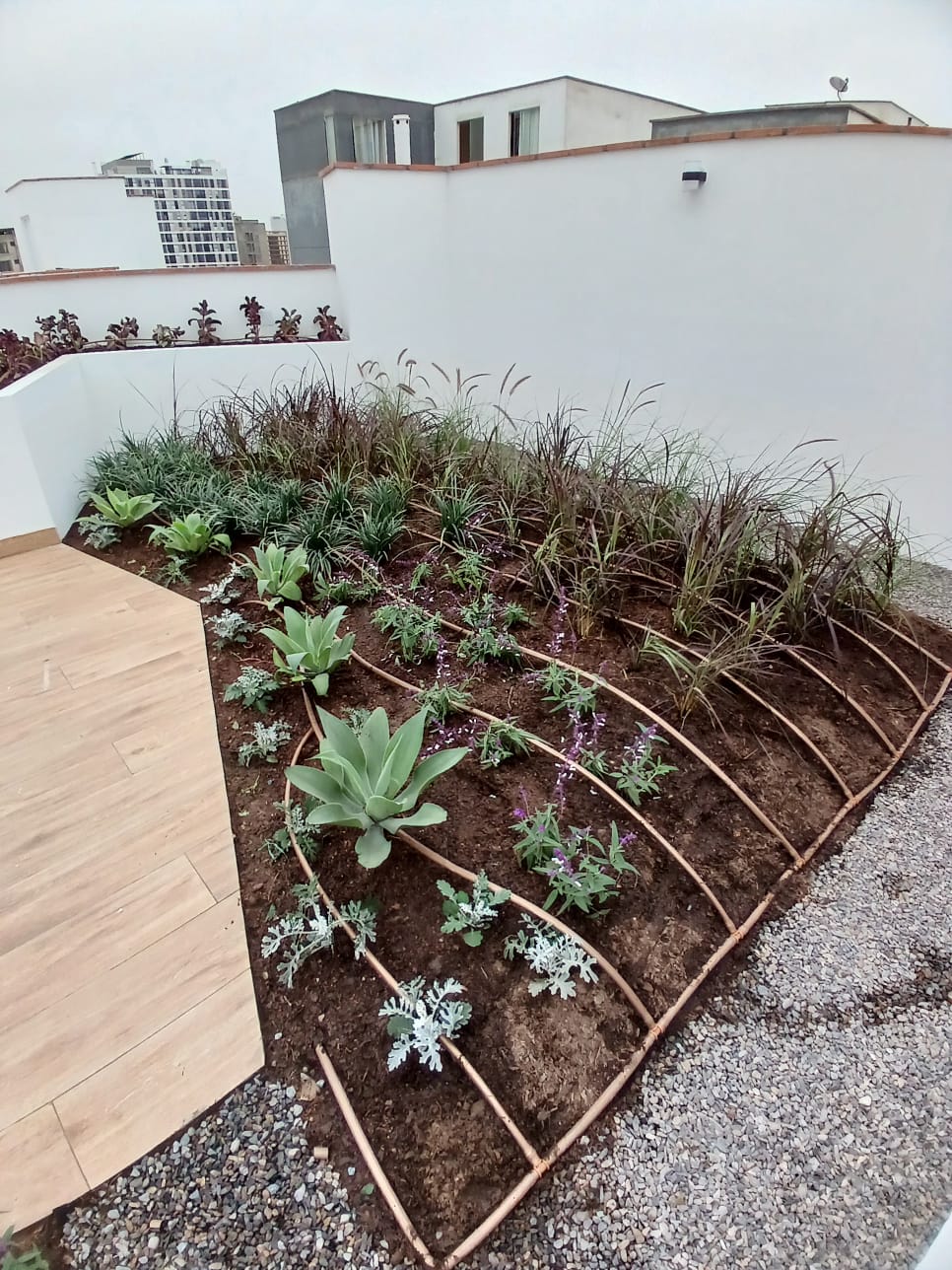 Gania - Riego tecnificado