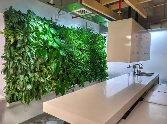 Con mas de 4 años de implementado, las protagonistas siguen siendo ellas Gracias por la confianza de siempre @oechsleperu desde el mes 1 hasta hoy amamos cuidar vuestro jardin!!!