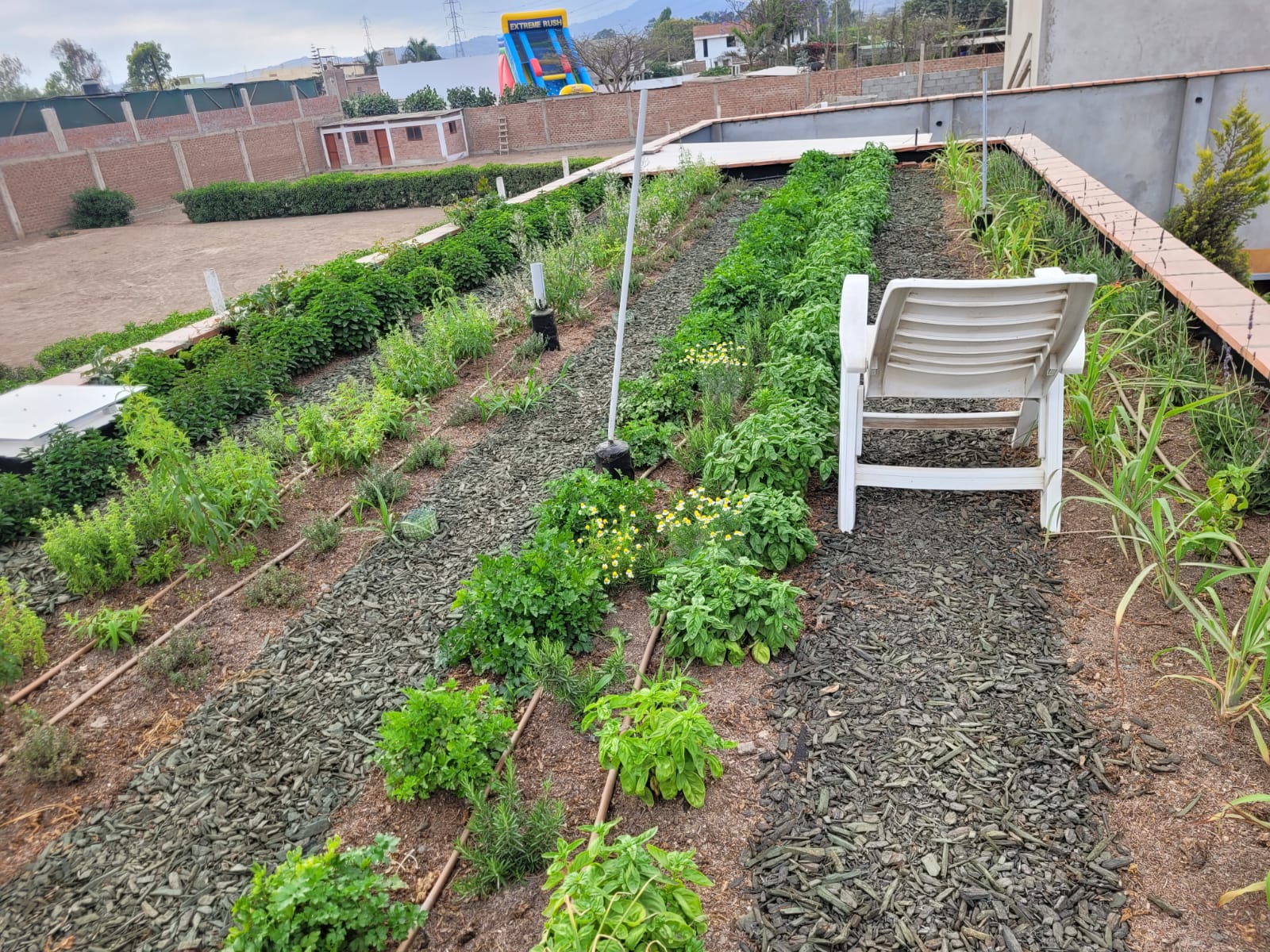 Un techo verde se puede transformar en un huerto urbano aprovechando su capacidad de sustentar una variedad de plantas y vegetales. Este enfoque contribuye a la seguridad alimentaria local y promueve la agricultura sostenible. 