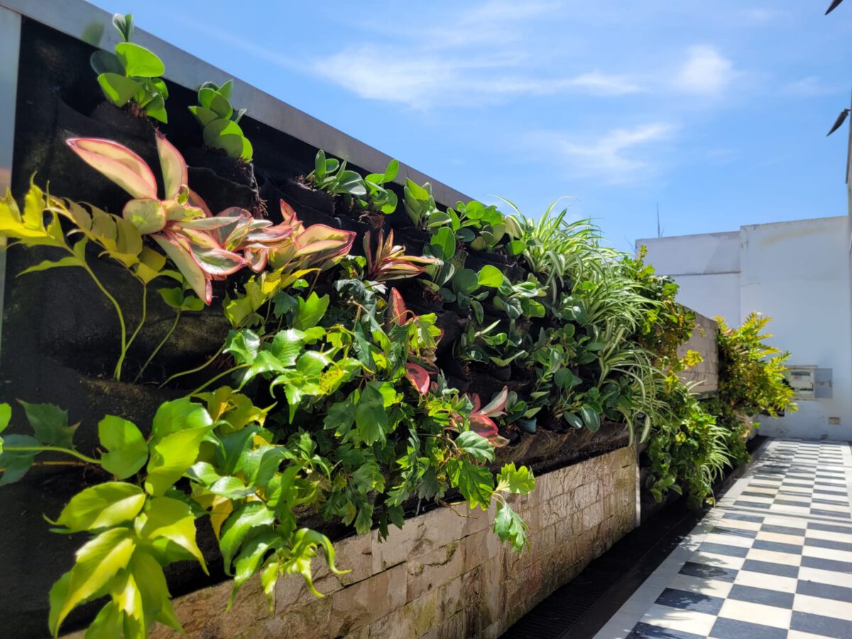 Muros verdes: una solución innovadora para ciudades más sostenibles y atractivas