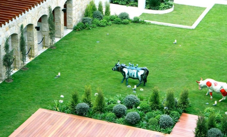 Proyecto paisajista - Techo verde