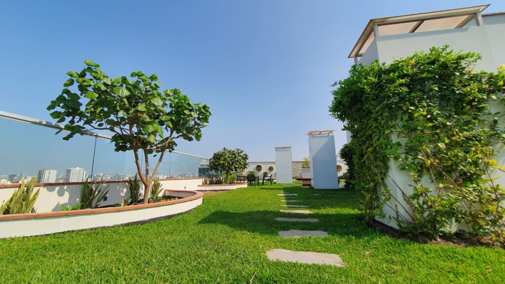 Techos verdes: ¿Cómo aportan al cuidado del medioambiente y a una mayor valorización del inmueble?