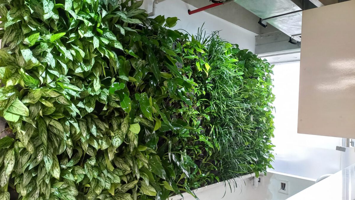 6 formas de implementar jardines verticales en un espacio limitado