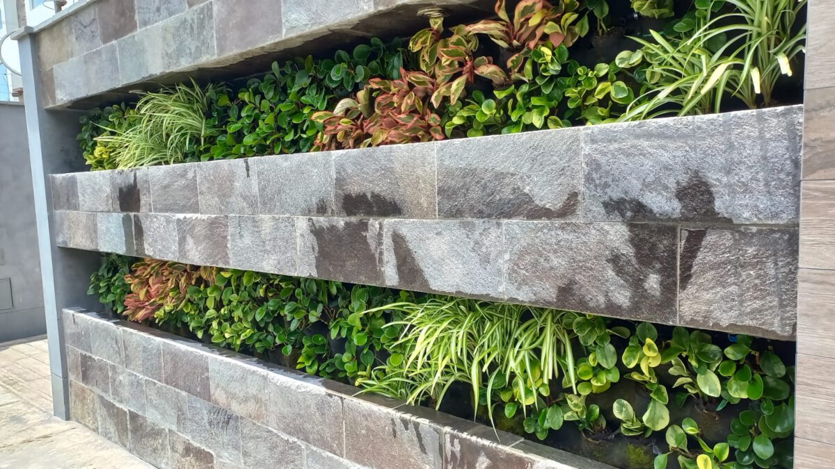 ¿Qué diferencias hay entre un jardín tradicional y  un jardín vertical?