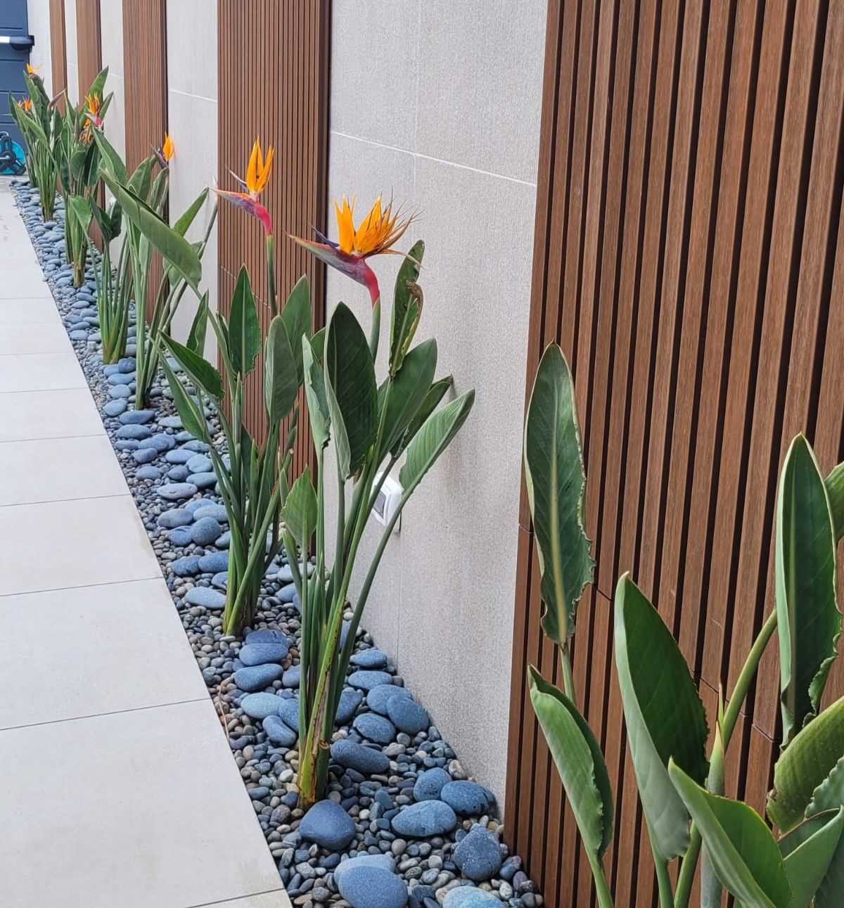 WhatsApp Image 2024-02-14 at 11.15.50