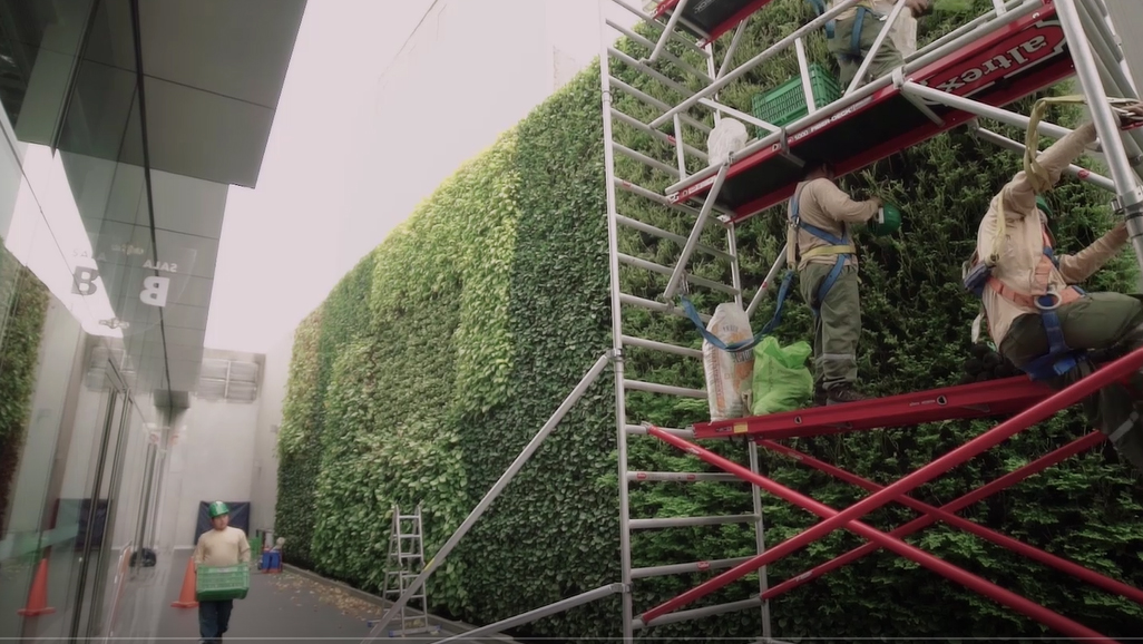 “Tenemos menos de tres metros cuadrados de áreas verdes por habitante”